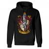 HARRY POTTER Unisex Adult Gryffindor Distressed Hoodie