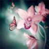 Diamond Diy Diamond Painting Flower Embroidery Lily Cross Stitch Full Round Drill Rhinestone Handmade Art Home Decor Gift