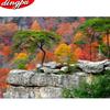 DIY 5D полная алмазная живопись вышивка крестиком лесная дорога пейзаж мозаика Алмазная вышивка рукоделие узоры наборы страз