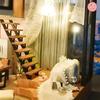 moin moin Dollhouse Miniature Handmade Kit Set Modern Modern Model Room Style Interior Stylish Light Acrylic Case Two-story building/LED +