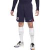 Nike Мужские футбольные брюки Фиолетовые чернила FJ2200-555