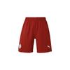 Puma Манчестер Сити Игрок Выпуск Шорты Домашняя смена 2022-23 Унисекс Шорты Красные 765750-05