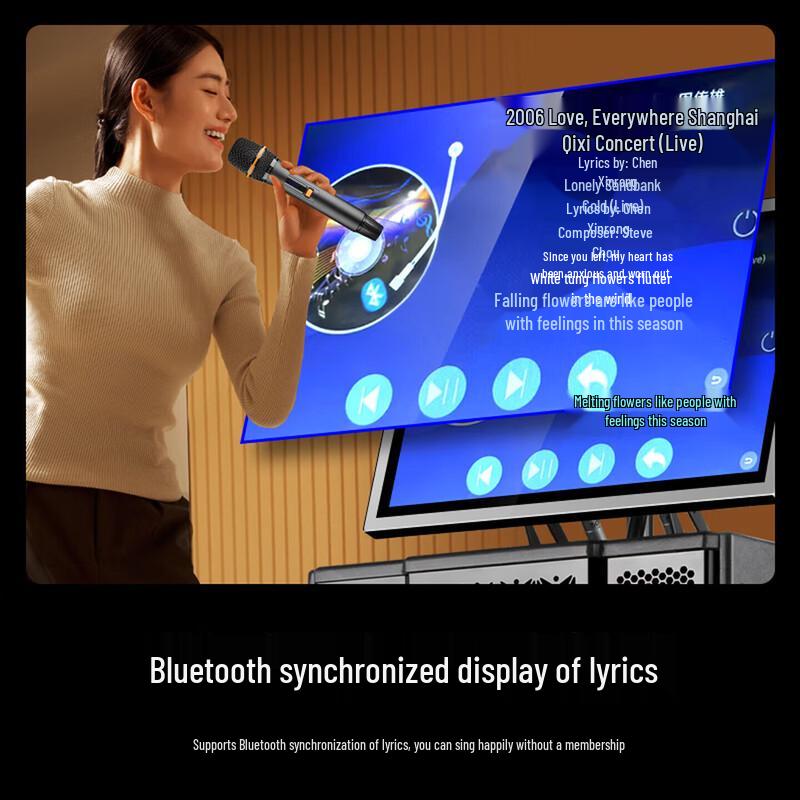 SAST All-in-One Home KTV Karaoke System CN plug (adapter included)