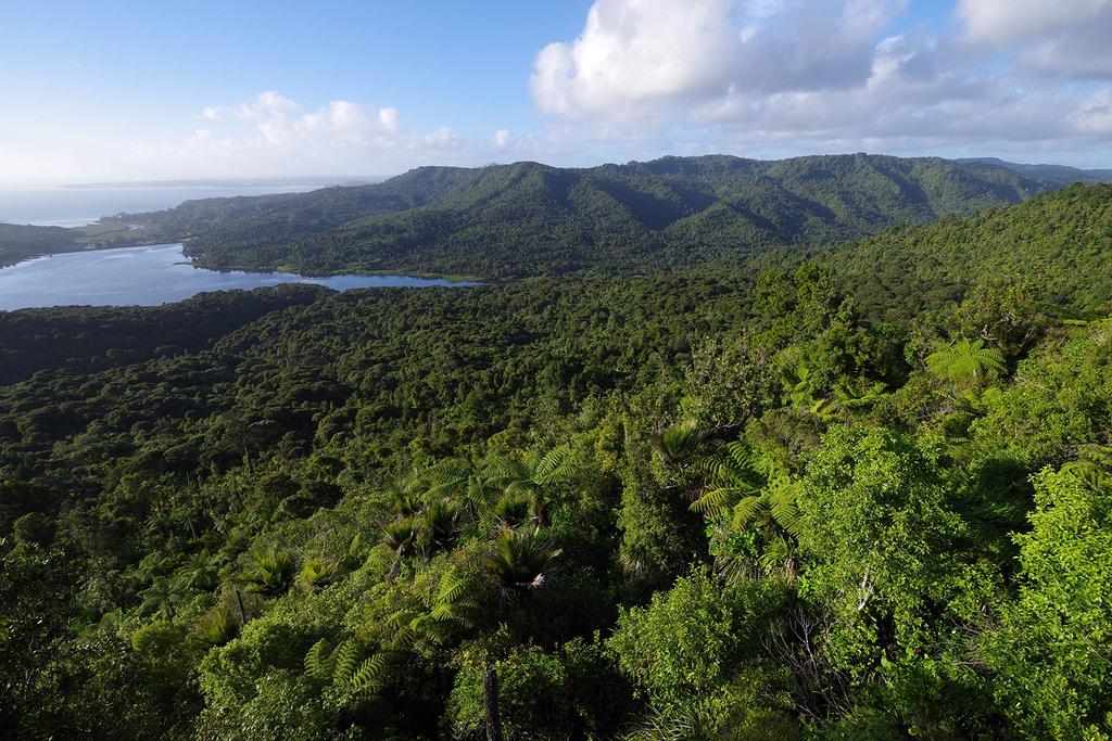 Pentax Mark II Lens Digital SLR 16007 K-1 28-105WR Kit, Black, Full-Frame Camera,