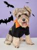 Halloween Pumpkin Dog Costume, Orange Pet Shirt with Green Collar, Festive Outfit for Small/Medium Dogs, Perfect for Halloween
