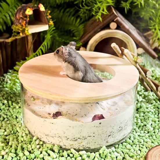 Sand Container Creative Design Wide Applicability Transparent Acrylic Critter Sand Bath Box