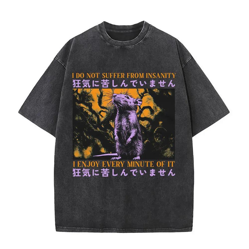 Countless Horrors Await But I Remain Faithful To The Cheese T Shirt Funny Japanese Style Mouse Rat Retro Washed Tshirt Unisex