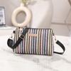 New Fashion Casual Daily Popular Rainbow Straw Woven Camera Bag Women's Bag Chain Bag Messenger Bag