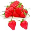 Strawberry Food 50 Realistic Strawberry Fruit S.fields.inc Samples, Pieces, Models, 3.5cm (Red)