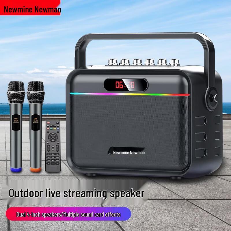 Newsmy K112 Portable Wireless Karaoke Speaker (CN version)