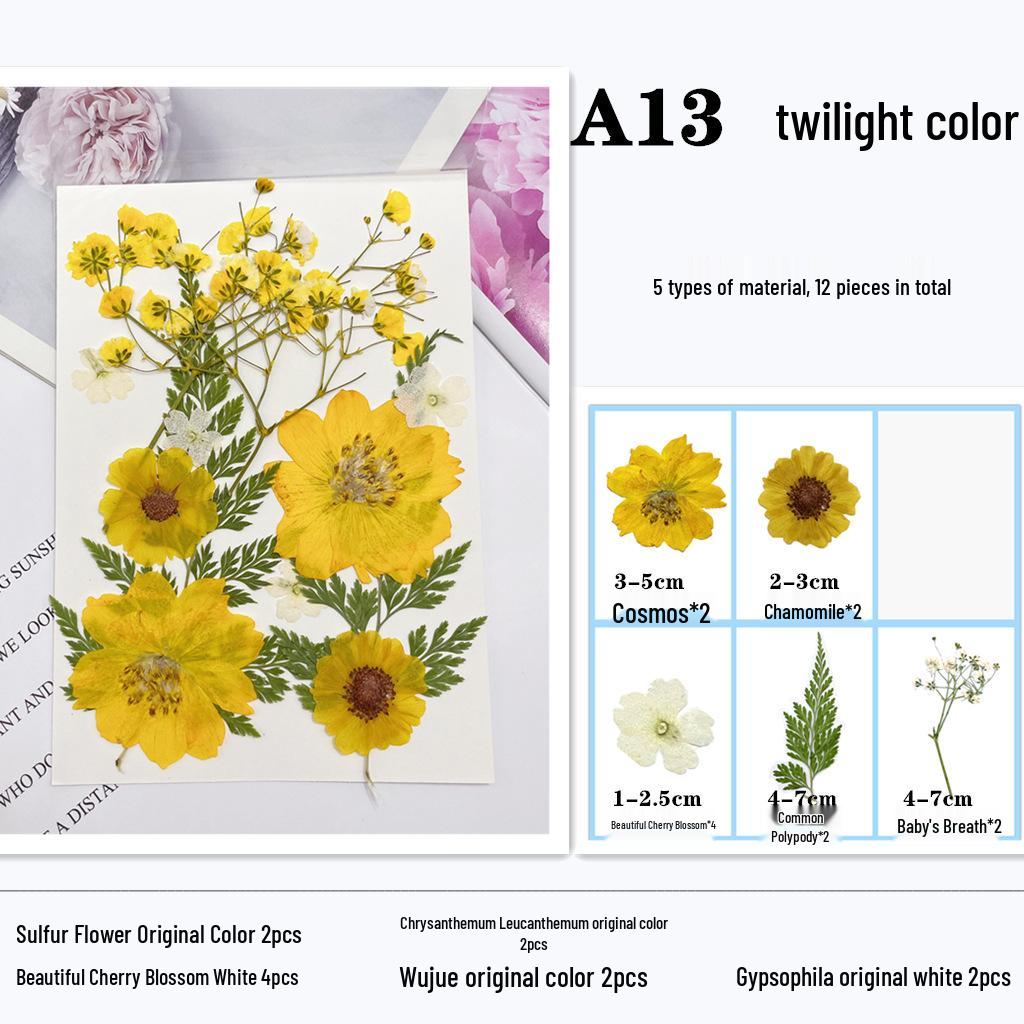 Maifeng Pressed Flower Art Pack: Dried Flower Material and Real Plant Specimens.