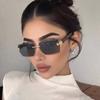 Photochromic Sunglasses Men Women Rimless Square Sun Glasses Leopard Head Metal Frame UV Protection Outdoor Sunscreen Eyewear
