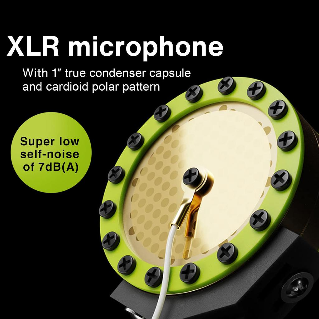 LEWITT LCT 440 PURE Condenser Microphone Large Diaphragm Unidirectional Vocal Instrument Recording Distribution Pop Filter Included