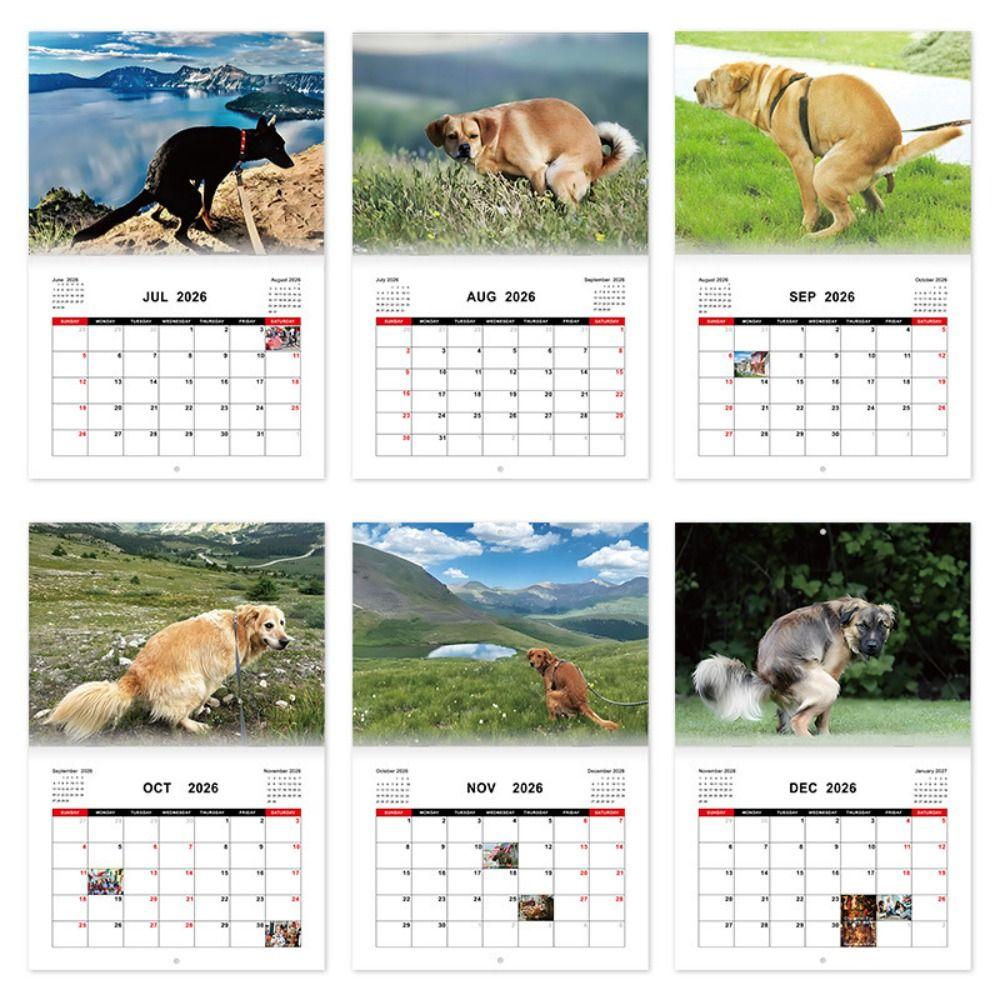 Gag Gift Funny Cat Calendar 12 Monthly Wall Calendar NEW Family Planner Office