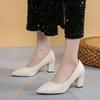 Ladies Shoes 2024 Slip On Women's High Heels Classics Office & Career Pumps Women Shallow Pointed Toe Chunky Heels Shoes Female