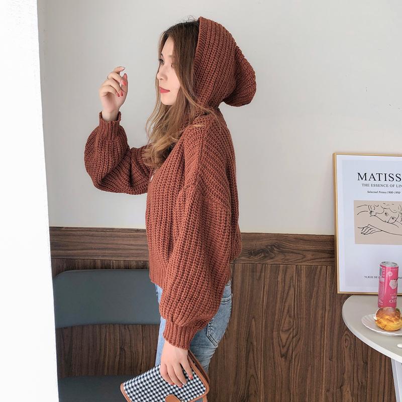 Осенне-зимний кардиган с капюшоном, короткий, утолщенный, верхняя одежда, простая и удобная женская куртка на молнии с длинным рукавом 6206