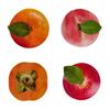 6pcs Orange Simulated Fruit Greeting Cards Peach Persimmon Peel Fruit Cards with Envelope Paper Holiday Blessings Cards