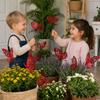 12PCS Bonsai Ornament Butterfly Garden Stakes Multicolor Ground Picks  For Courtyard