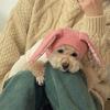 Dog Hat Autumn Winter Windproof Warmth Cover Cute Rabbit Ears Knitted Pet Cap Pink Ins Dogs Headwear New  Kitten Puppy Earmuffs