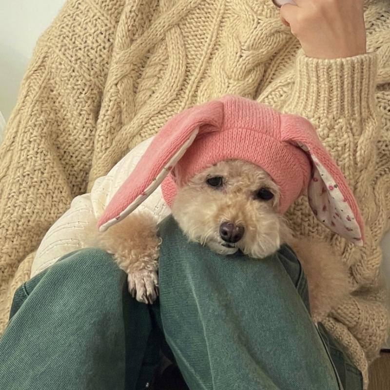 Dog Hat Autumn Winter Windproof Warmth Cover Cute Rabbit Ears Knitted Pet Cap Pink Ins Dogs Headwear New Kitten Puppy Earmuffs
