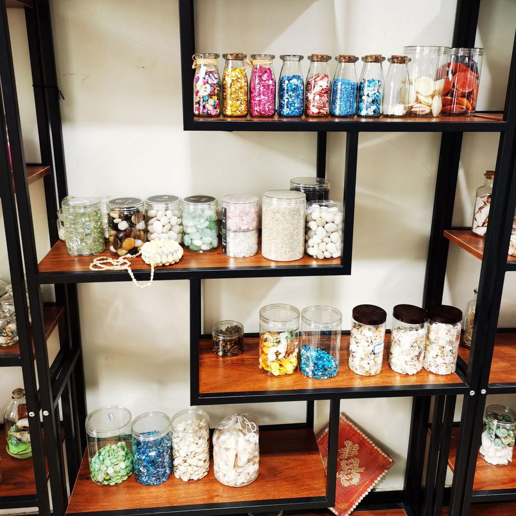 10pcs DIY White Seashells Perfectly For Handcrafting And Painting Activities For Kids And Adults House Decoration