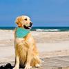 New Adjustable Dog Cooling Bandana Breathable Pet Safe Ice Scarf Reusable Lightweight Pet Cooling Scarf Dog