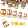 100PCS Spring Hose Clips/Clamps Fuel Air Gas Water Pipe Self Clamping