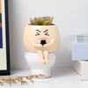 Cartoon Succulent Flowerpot Resin Plant Cultivation Pot Plant Growing Container  Succulent Planting