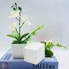 Искусственный бонсай Реалистичные три цветка Неувядающие Неувядающие Декоративные DIY Поддельные Орхидеи Фаленопсис