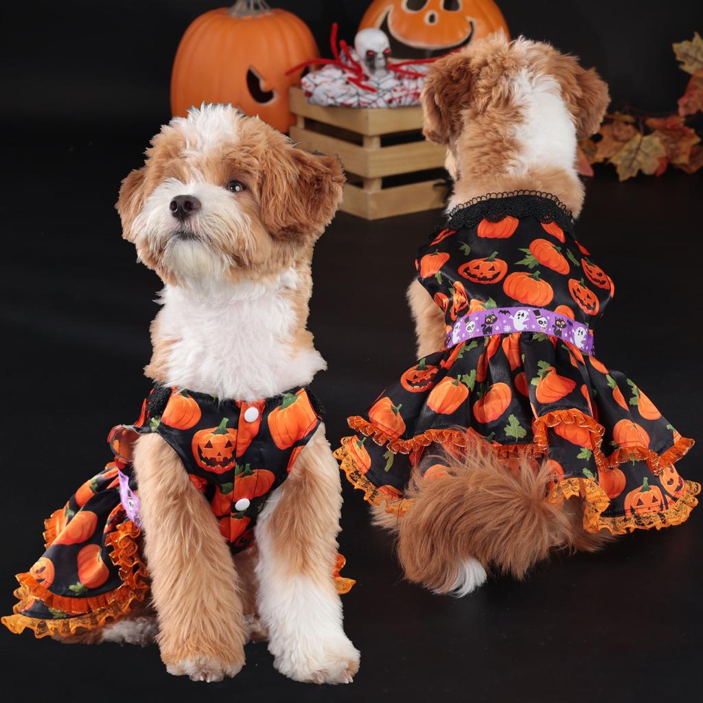Popular Halloween Pet Supplies Dog Clothes Costumes Pumpkin Skirts and Small Dog Lace Skirt Dog Dress White Girl Dog Clothes