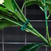 30 Pcs Green Adjustable Plant Ties Flexible Garden Plant Tie Multi-Function Sturdy Garden Plant Twist Tie Plastic Garden Ties Plant Support Tree Shrub