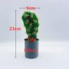 Cactus With Plastic Flowers For Indoor Home And Office Decor