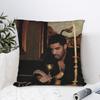 Наволочка D-drake meme   Винтажная наволочка для стула, дивана, домашнего декора