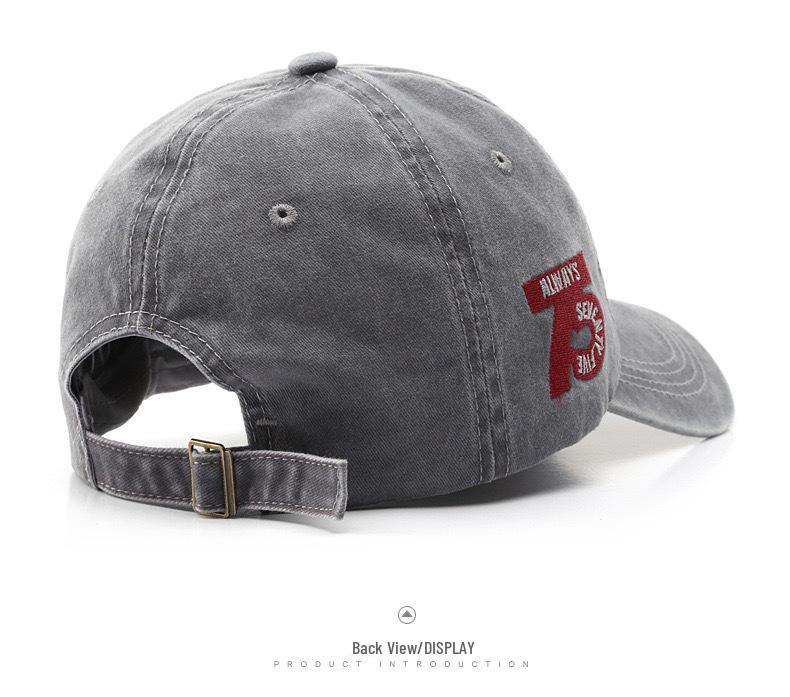 Men's Retro Washed Baseball Cap - 3D Embroidered Visor, Warm Sun Protection for Spring and Autumn