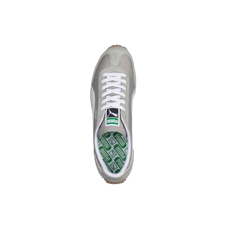 Puma Whirlwind Classic Низкие Кроссовки Ретро Повседневная Обувь Серый Мужские 351293-89