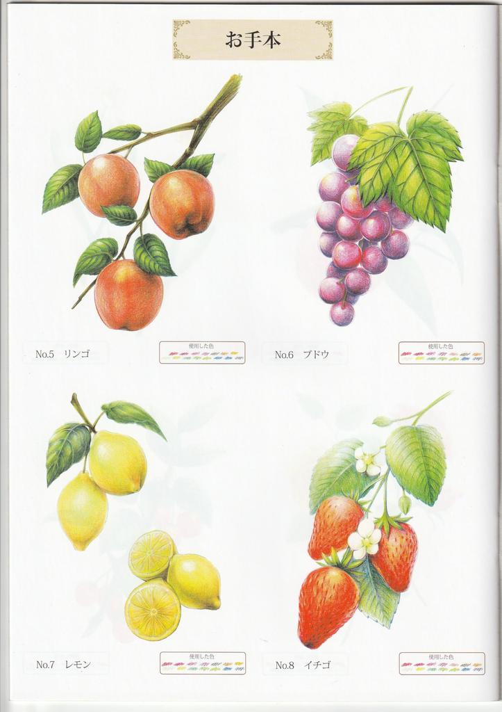 Adult Coloring and 1 3583 Book Flowers, Fruits, Flowers, Book,