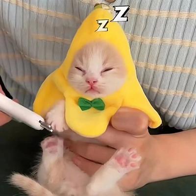 Покрытие на голову банана и кошки, креативные милые кошки, бандана для домашних животных, головные уборы, плюшевые костюмы для косплея кошек, головной убор с бананом, реквизит для фотосессии