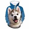 3D Printed Husky Siberian Dog Hoodies New Spring Autumn Men's And Women's Kids Fashion Leisure Fun Oversized Pullover Sweatshirt