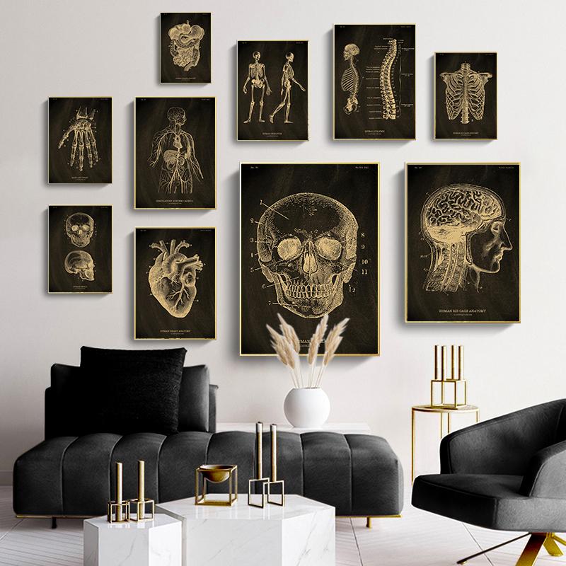 Анатомия человека, винтажный постер, скандинавский холст, художественный принт, золотой скелет, органы, живопись, настенные панно, медицинский домашний декор