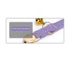 Personalized Engraved Cat Collar Adjustable Size Metal Buckle with Bell Custom Pet Name and Telephone Number