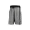 SS23 Brand Logo Stripe Print Drawstring Quick-Dry Sports Shorts Men Bottoms Grey FT5881