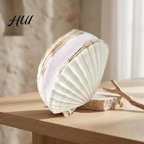 Ocean Inspired Journal Natural Scallop Shell with Handmade Paper Beach-Themed Notebook for Nature Writing Sketching Ocean-Inspired Diary Women