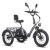 Электрический трехколесный велосипед FAFREES F20 Mate, аккумулятор 48 В 23,45 Ач, 500 Вт, 20-дюймовые шины, с зеркалом и задней корзиной