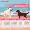 Dog Life Jacket Dog Life Vest for Swimming Beach Boating with High Buoyancy Summer Pet Flotation Vest for Small Medium Large Dog