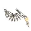Stainless Steel Penis Lock Bird Chastity Cage Cock Ring Urethral Plug Sound Metal Slave Bondage Restraint Belt Sex Toy Male