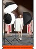 800W Ultra-Bright Spherical Fill Light for Professional Beauty Photography and Indoor Clothing Shoots