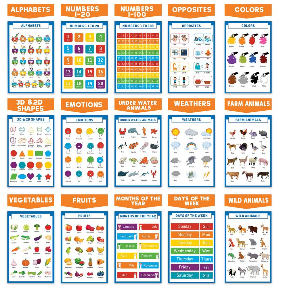 Traceease Educational Poster For Elementary School, Pack Of 25 Laminated Kids Learning Posters Great for Classroom  HomeSchool
