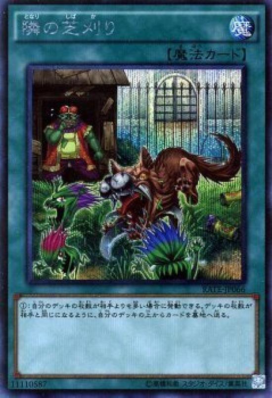 Yu-Gi-Oh! Секрет, что трава выглядит бушующей бурей, редкий, более зеленый, (Одна карта) RATE-JP066-SI