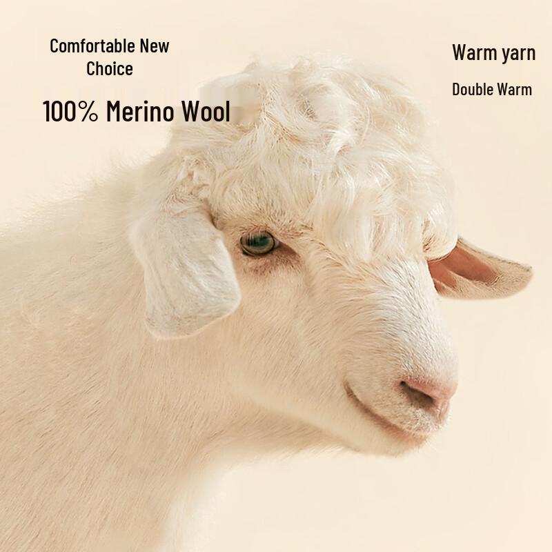 Мужской пуловер Caizi из чистой шерсти приталенного кроя