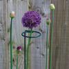 Home Flower Bonsai Pile Single Stem Garden Tool Plant Support Stake Support Ring Stand